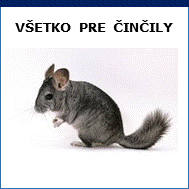 všetko pre činčily